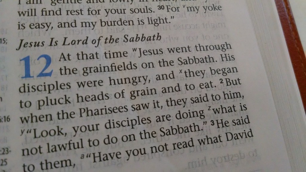 IMG_20141006_134851178