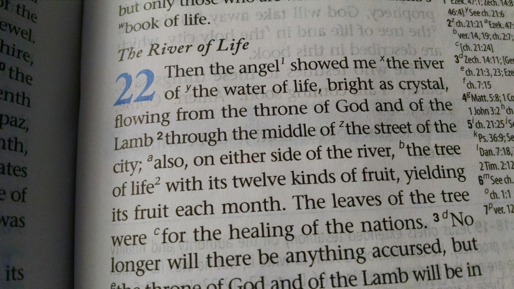 IMG_20141026_214734450