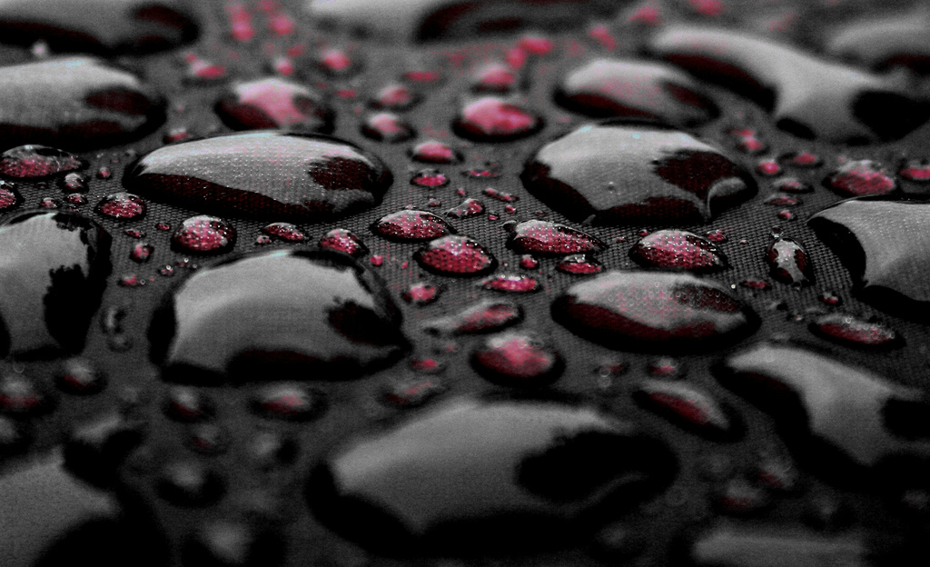 tears rain pomegranate