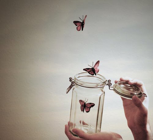 butterflies flying away out of jar