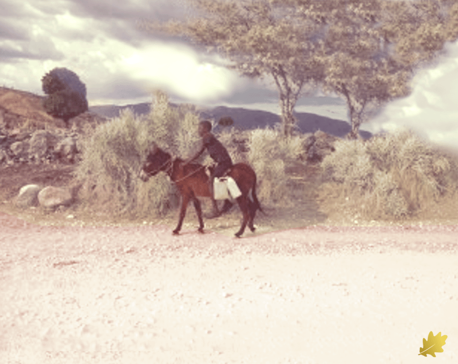 The Unbreakable King