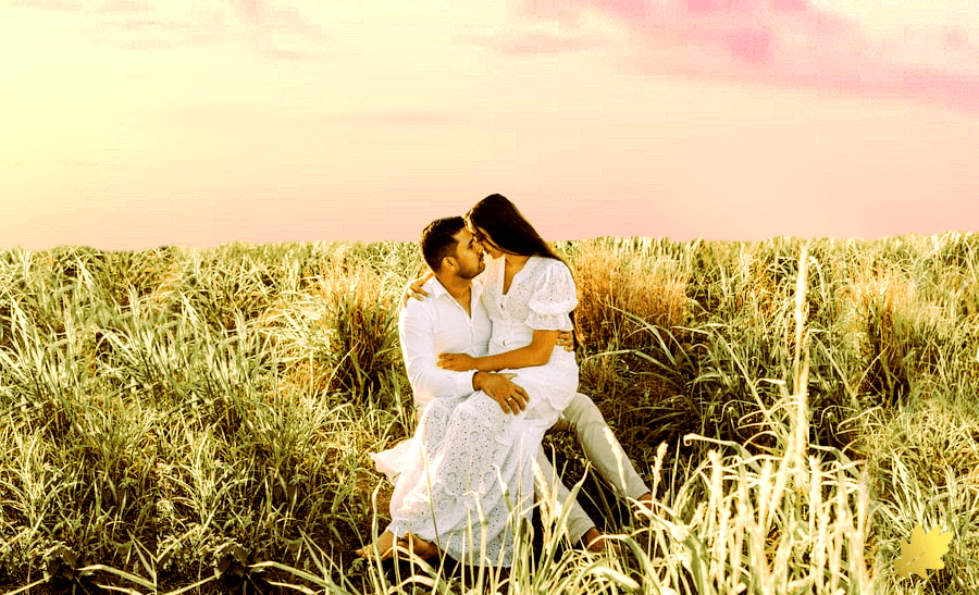 A Touch from The&nbsp;King